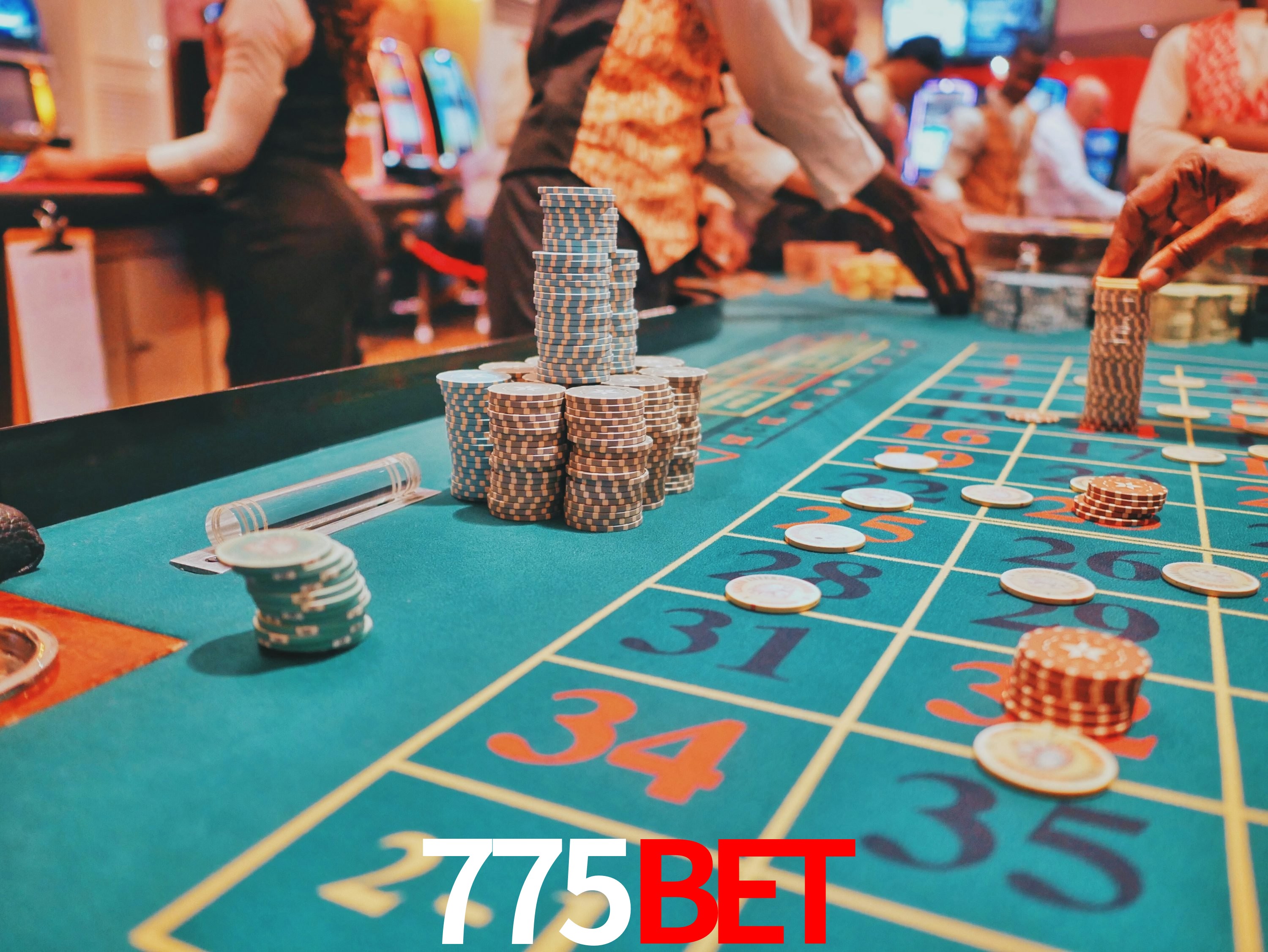 Sports Statistics 775BET